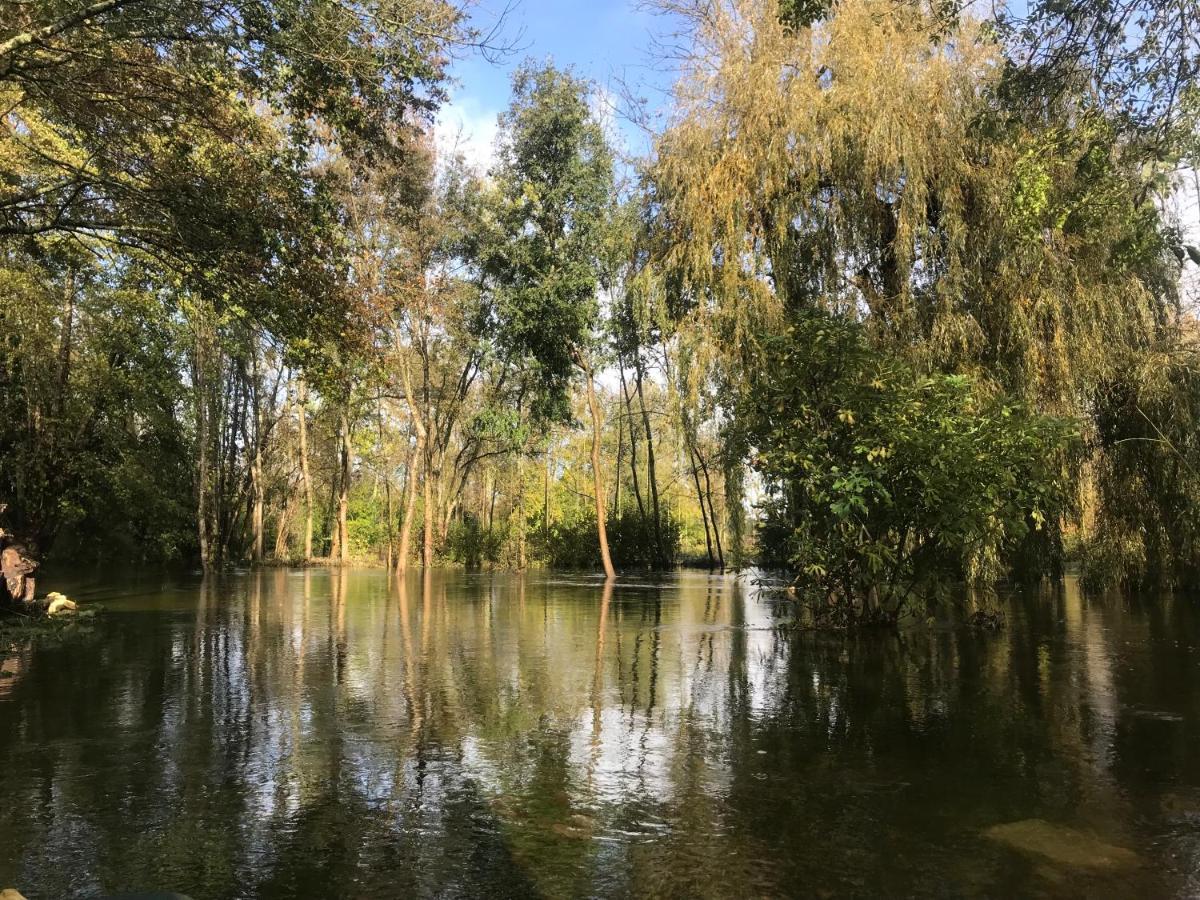 شقة Ancien Moulin A Eau Sur La Seugne Mosnac  المظهر الخارجي الصورة